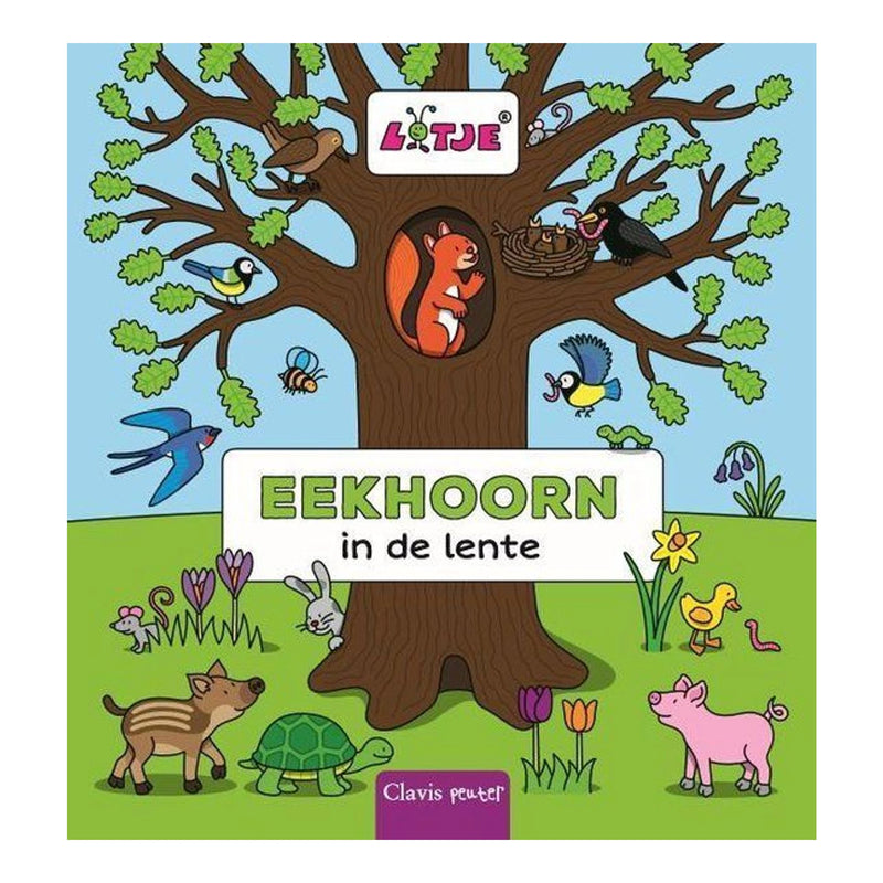Eekhoorn - in de lente