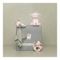 Geschenkdoos- Little Farm