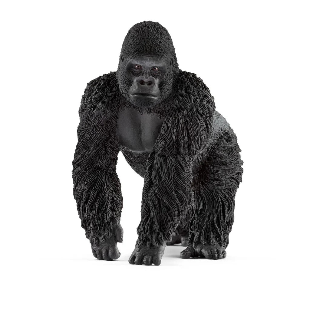 Gorilla mannetje