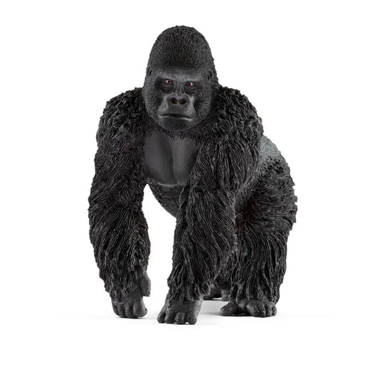 Gorilla mannetje