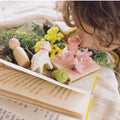 Hello Spring!