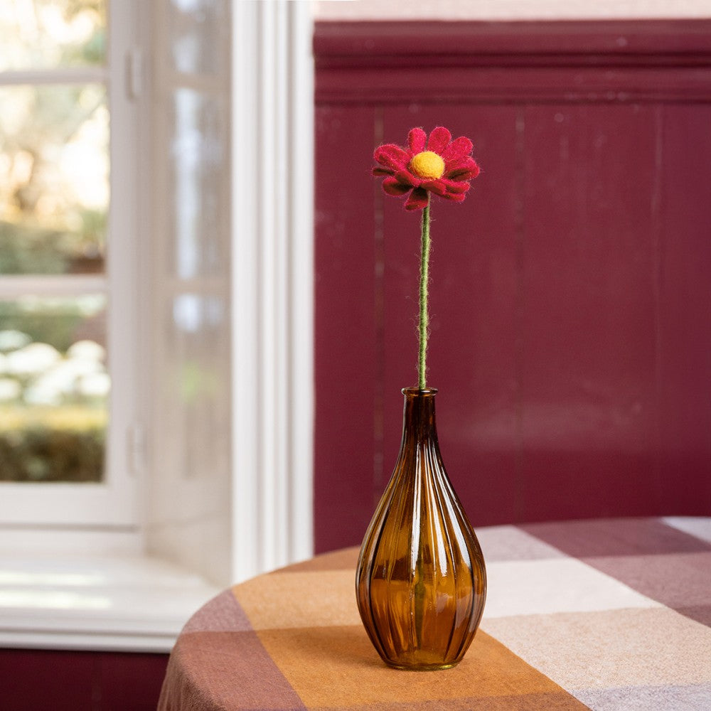 Herfst Margrietje Bordeaux