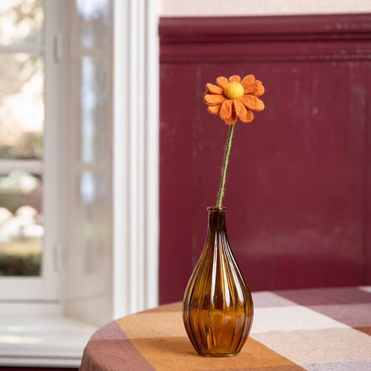 Herfst Margrietje Cognac