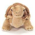 Knuffel Schildpad