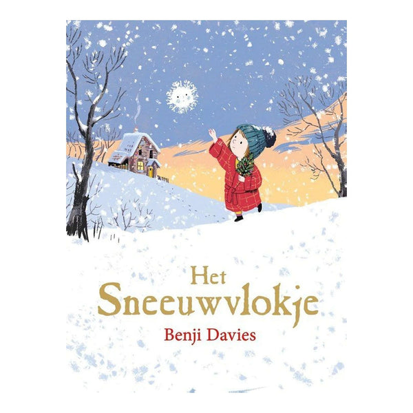 Het sneeuwvlokje