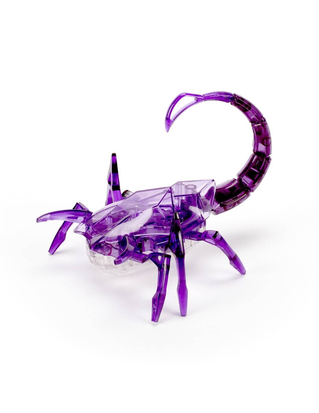 Scorpion