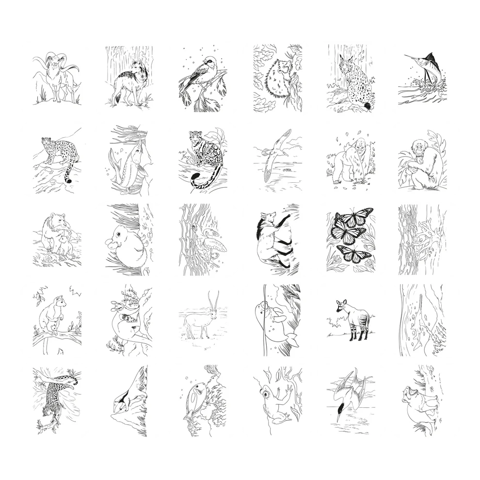 KIDYDRAW Drawing Pad Animals