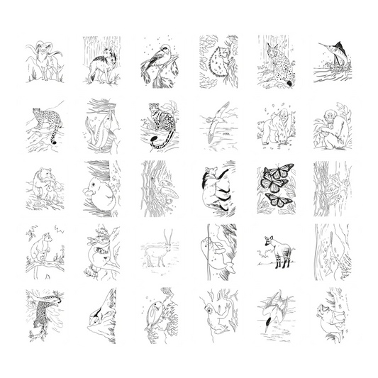 KIDYDRAW Drawing Pad Animals