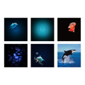 KIDYSTAR HD projector Ocean and seas Mint Groen