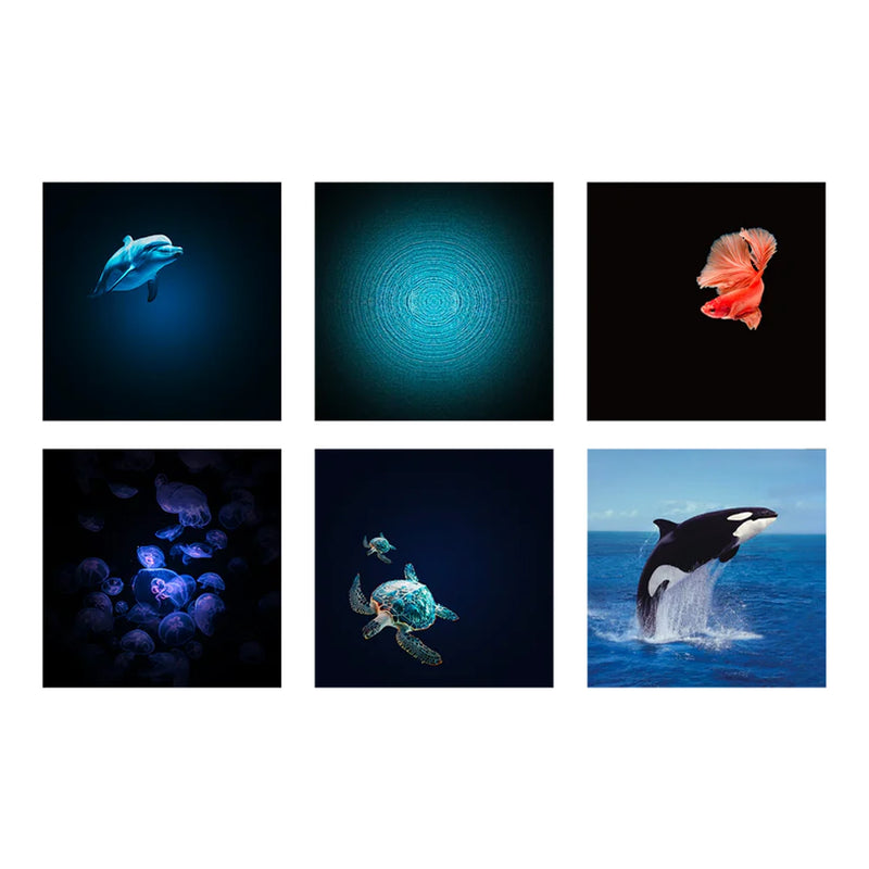 KIDYSTAR HD projector Ocean and seas Mint Groen