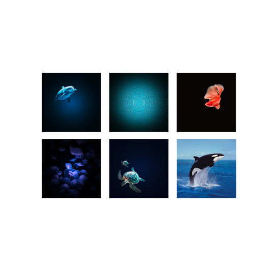 KIDYSTAR HD projector Ocean and seas Mint Groen