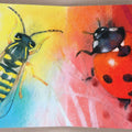 Klein Insectenboek 1+