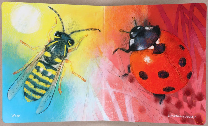 Klein Insectenboek 1+