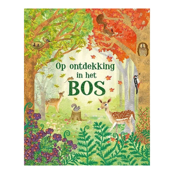 Op ontdekking in het bos