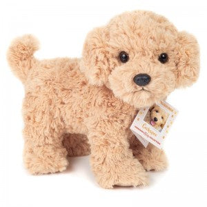Knuffel Cockapoo