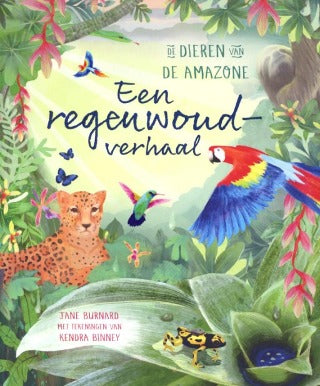 Een regenwoudverhaal