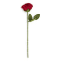 Roos Rood