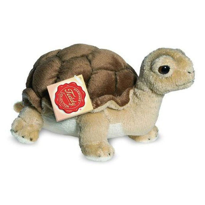 Knuffel Schildpad