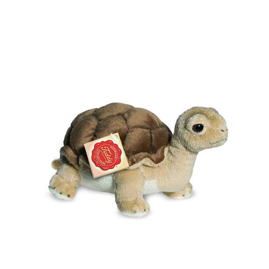 Knuffel Schildpad