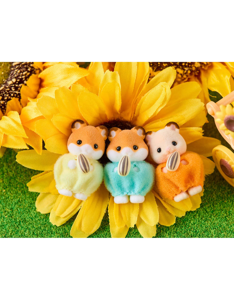 Hamster Family