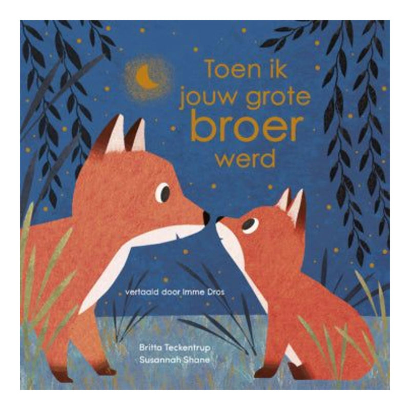 Toen ik jouw grote broer werd 3+