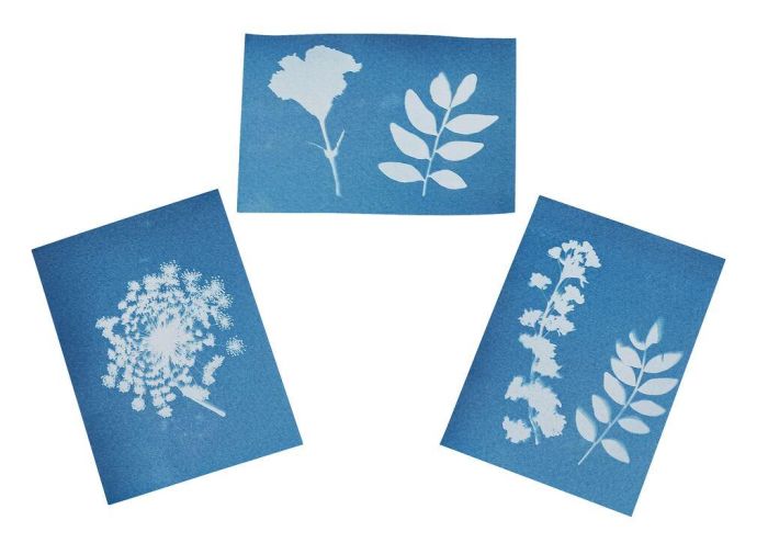 Bloemenpers met Zonnepapier