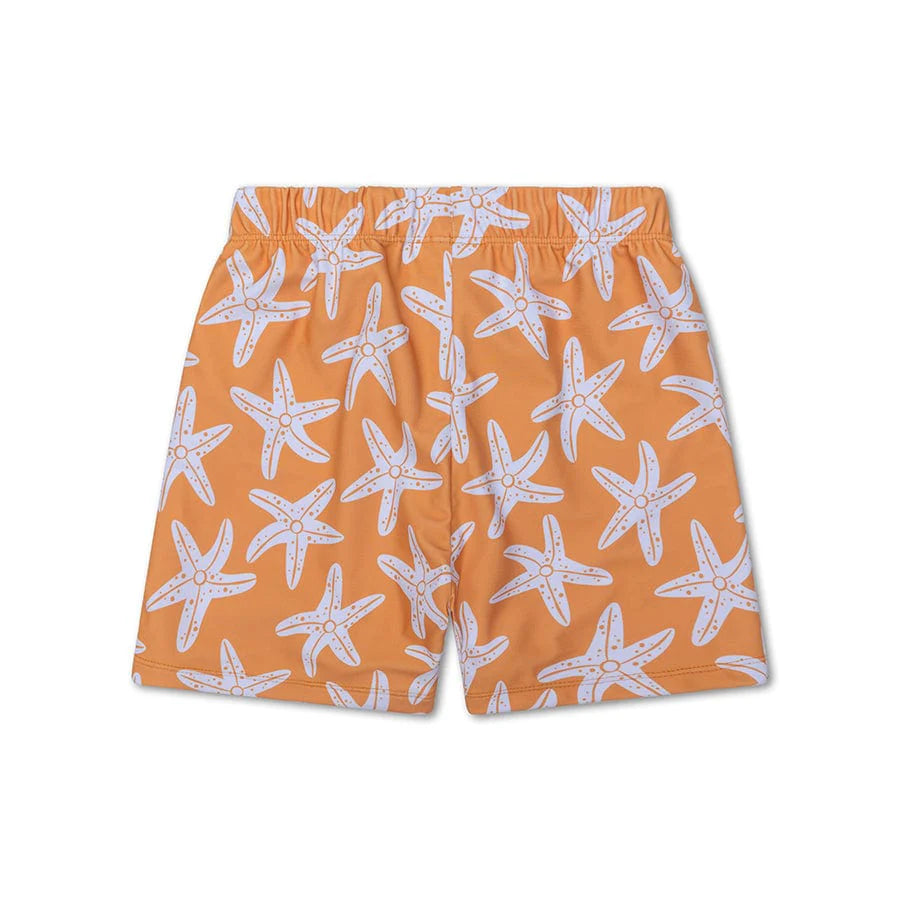 Zwembroek Sea Stars