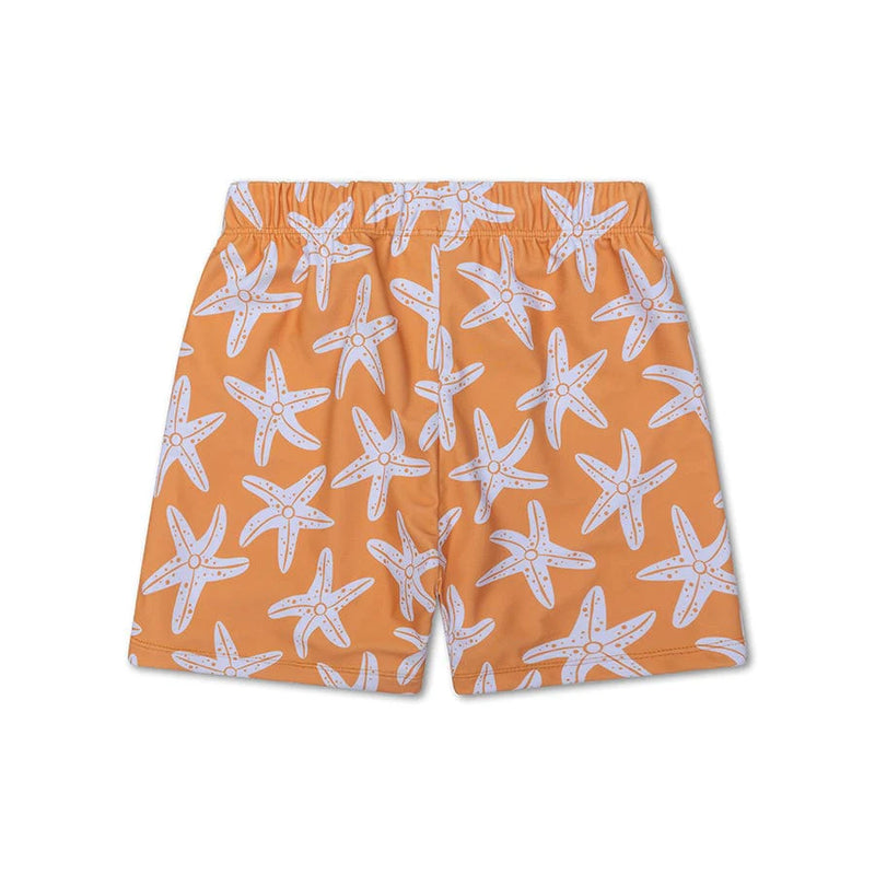 Zwembroek Sea Stars