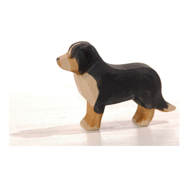 10521-Berner-Sennenhond ostheimer