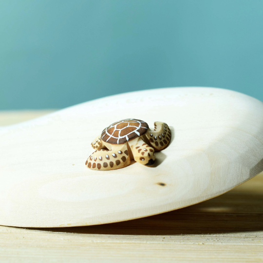 baby schildpad bruin