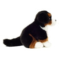 berner sennhond, knuffel, herman teddy