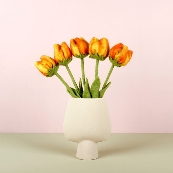 bloem-tulp-olivia-5-st