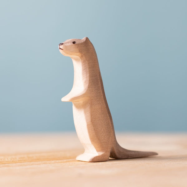 Bumbu otter nieuwsgierig