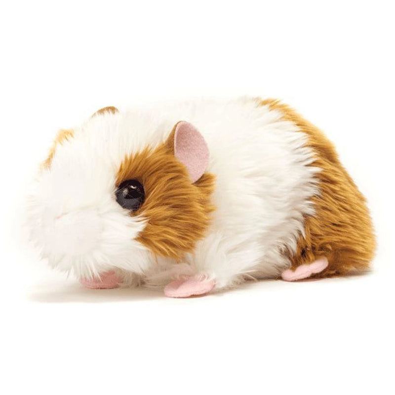cavia