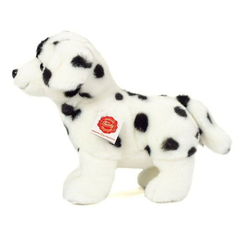 dalmatiër, hermann teddy, knuffel