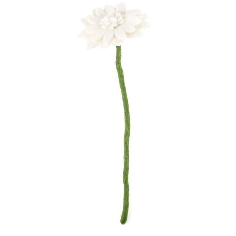 Gerbera Wit