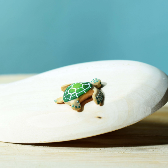 schildpadbaby