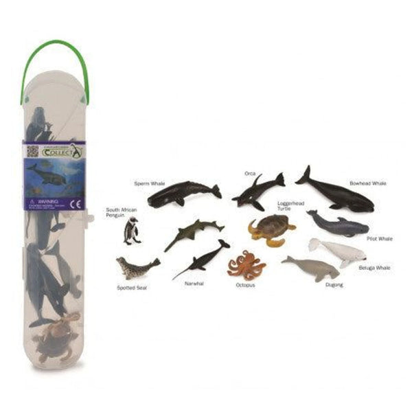 Zeedieren b